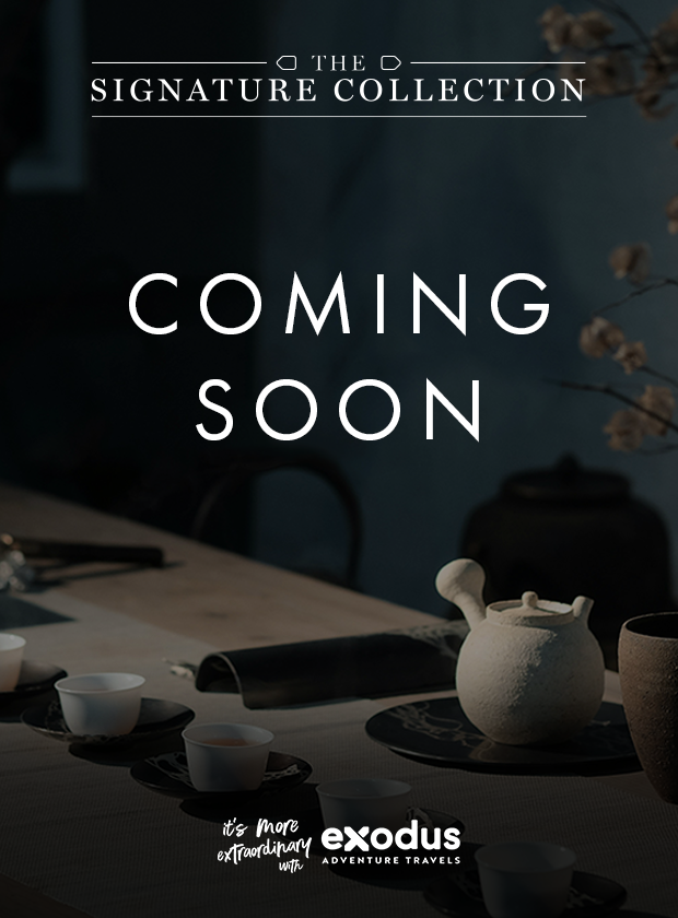 NAM Trade Creative NAM Trade Creative