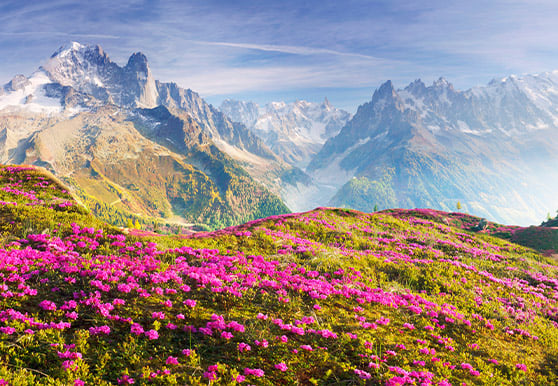 Europe_Mont Blanc Highlights