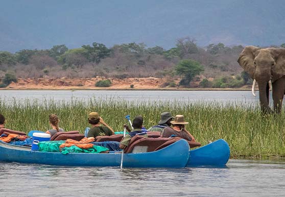 Zambezi Canoe Safari