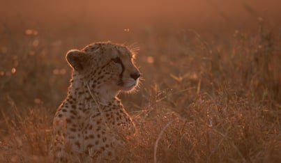 Hubspot- Webinar Pods for Microsite-2-3 Hubspot- Webinar Pods for Microsite-2-3