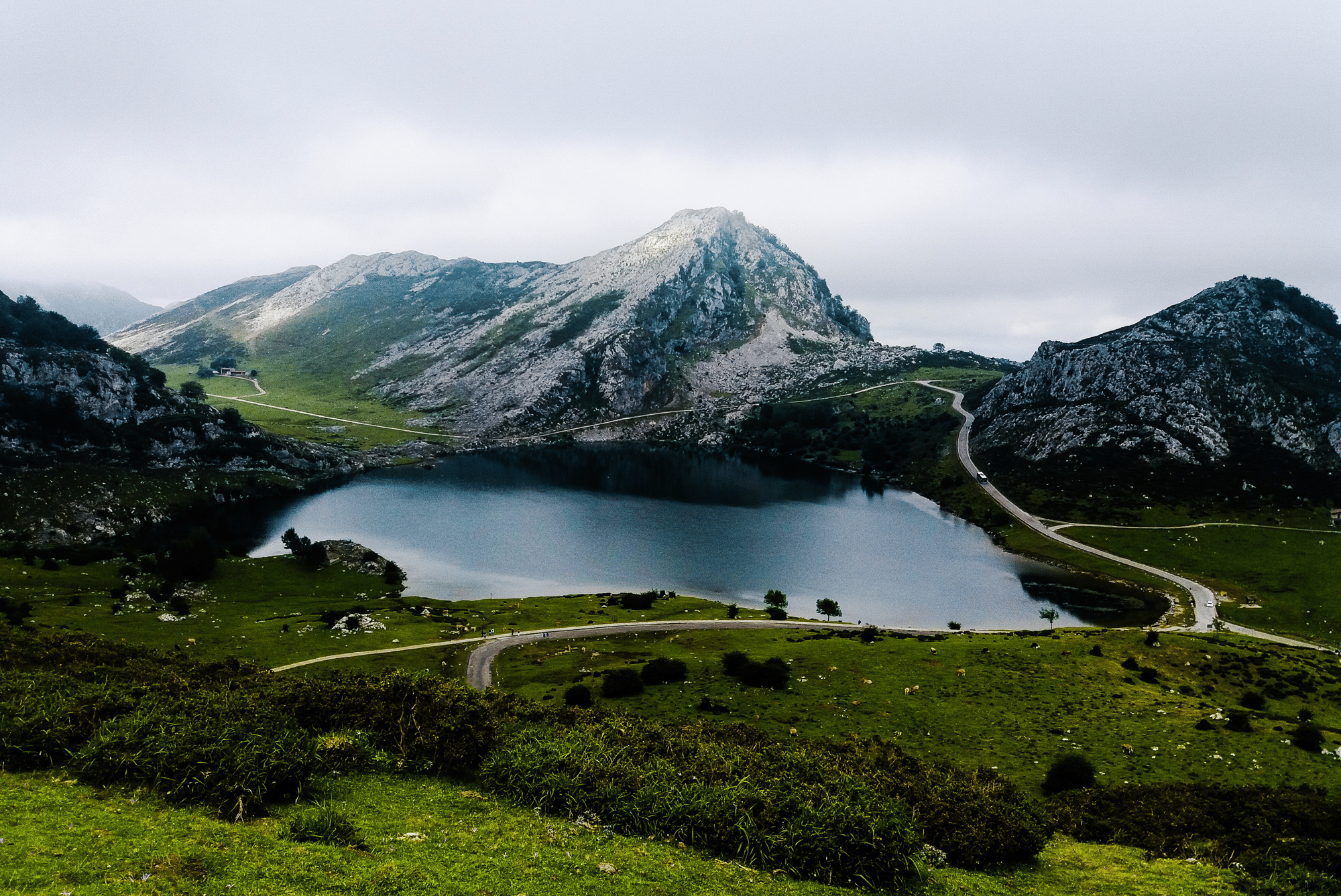Picos de Europa