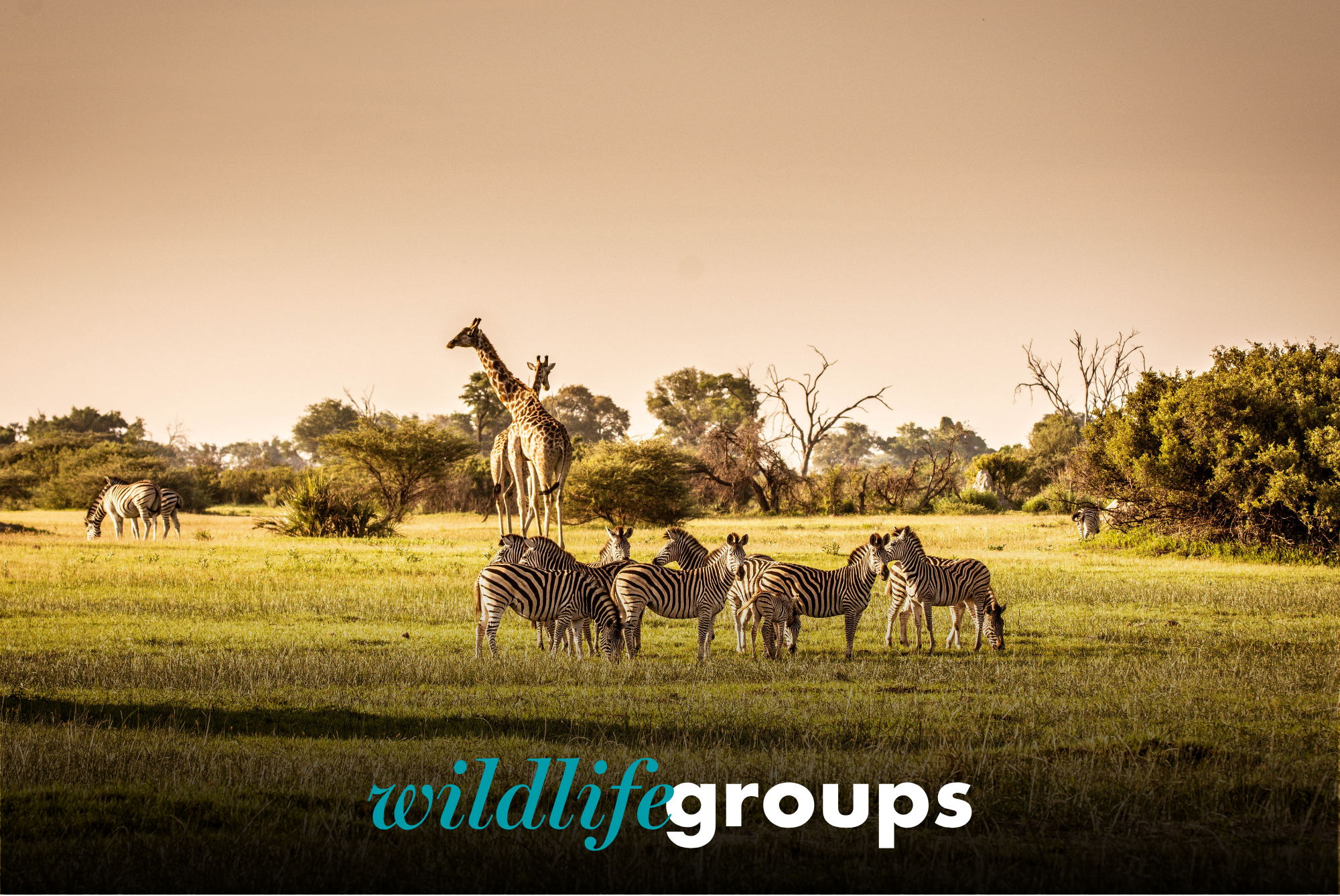 Private Groups Week_Wildlife