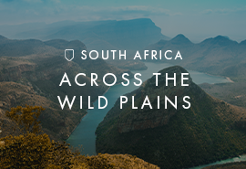 Signature South Africa | Across the Wild Plains
