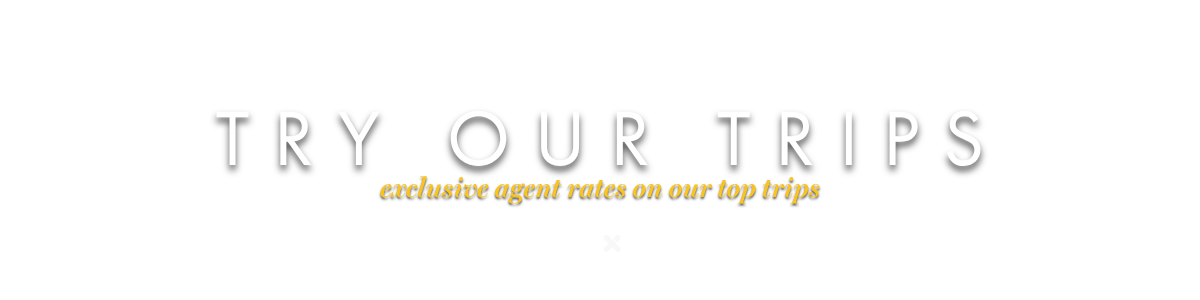 Try Our Trips - Logo & Copy