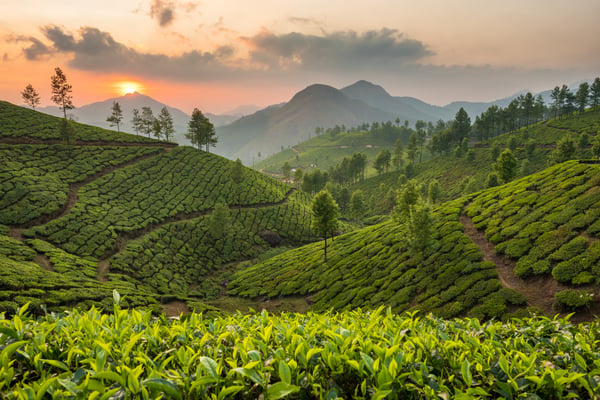 Vietnam (2)